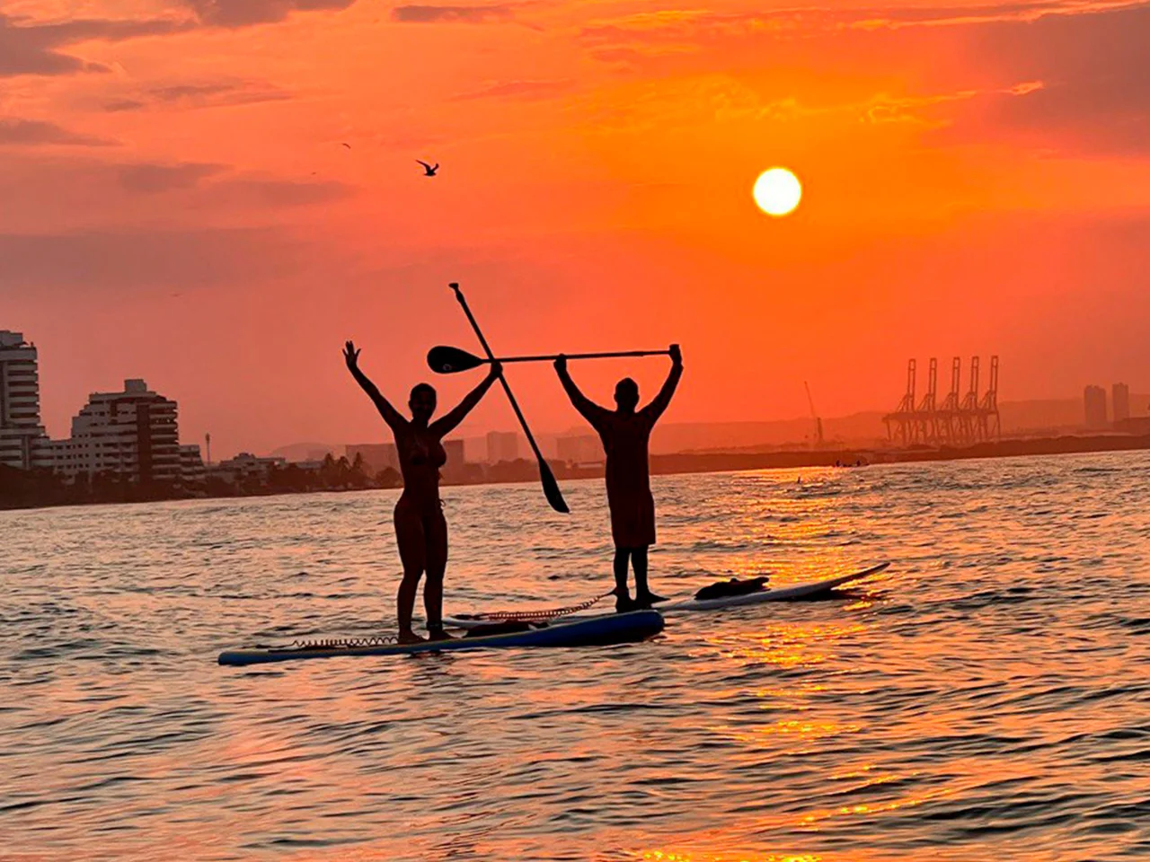 Paddleboard - Classy Cartagena